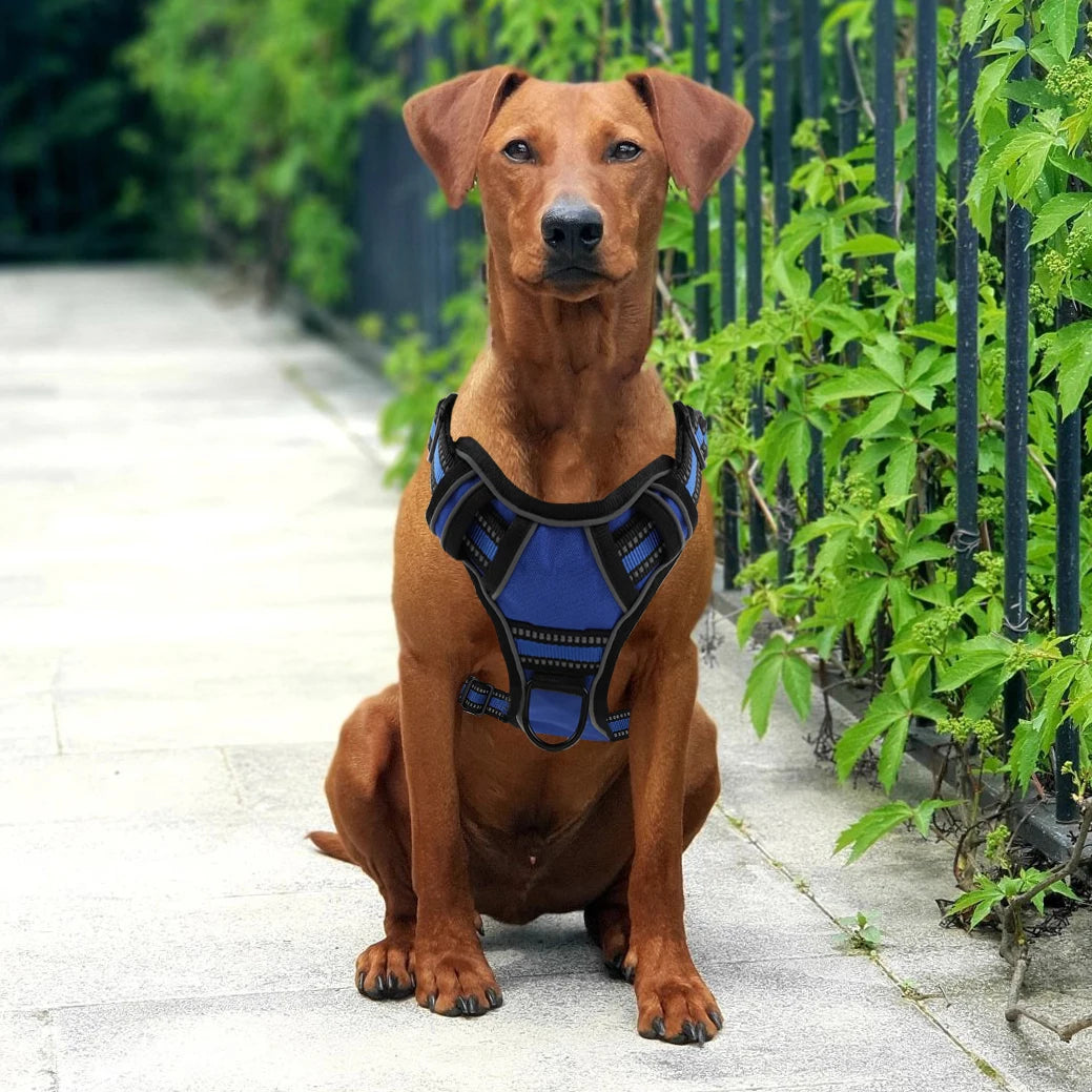 Breathable No-Pull Reflective Dog Harness Vest