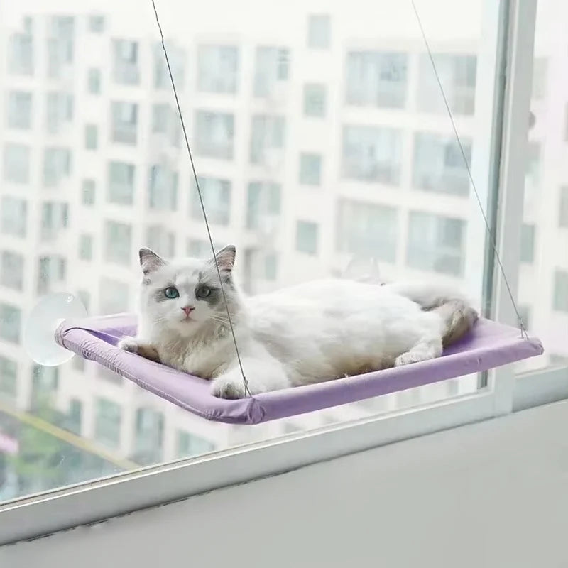 Cat Window Hammock Bed